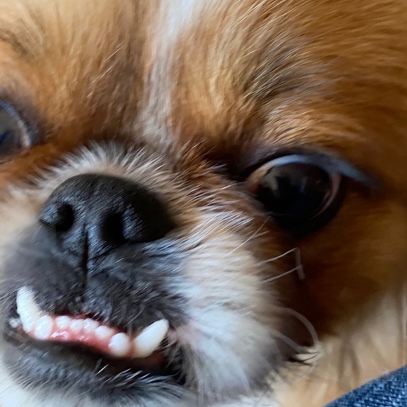 Meet your Posher, Melanie - Picture 12 of 16